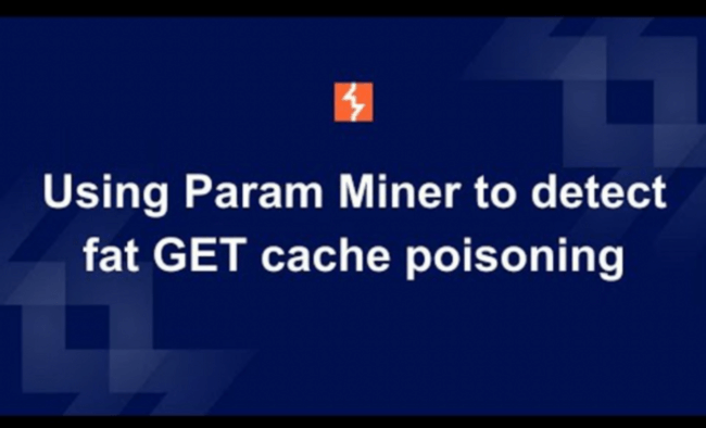 param-miner