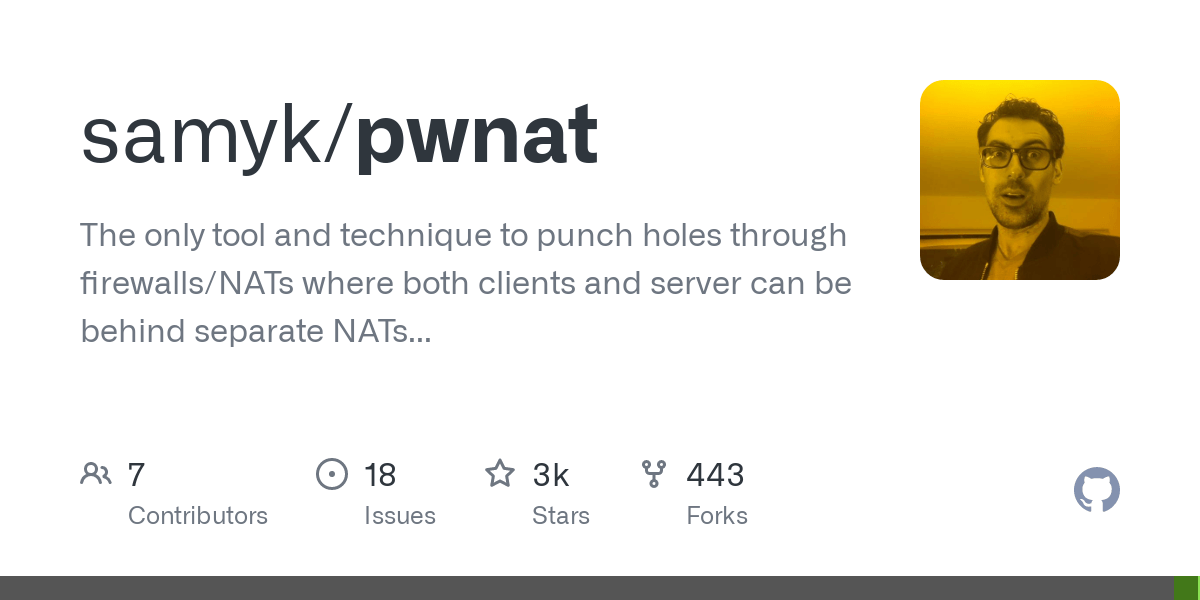 pwnat